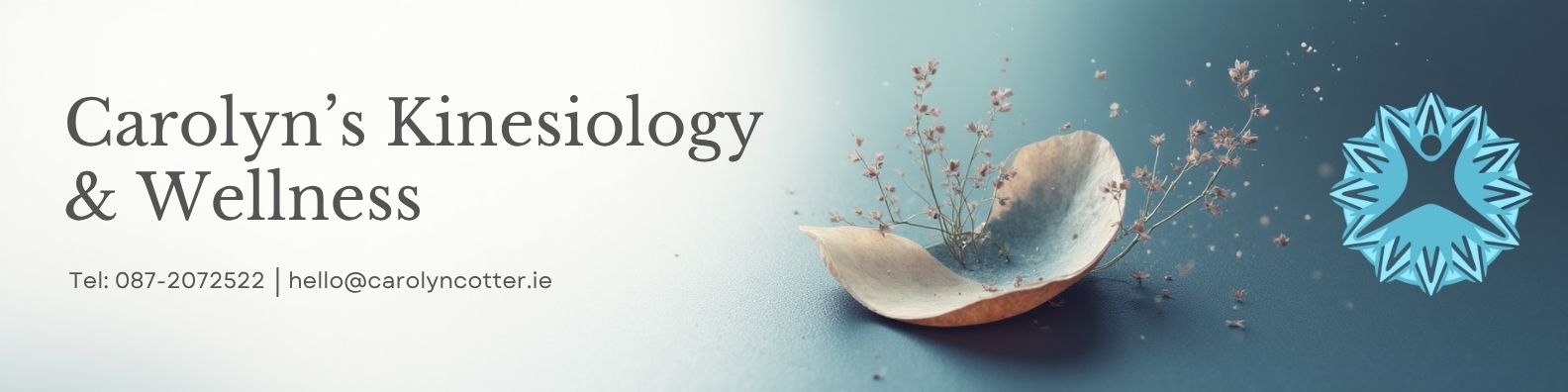 Carolyn's Kinesiology & Wellness