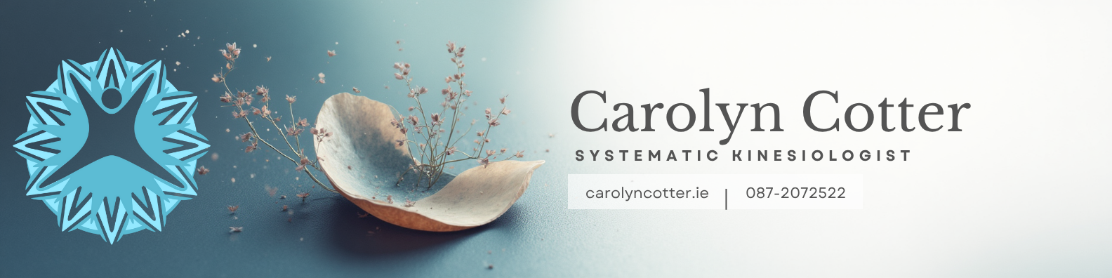 Carolyn's Kinesiology & Wellness